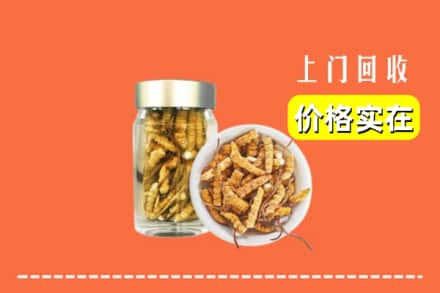 收购资讯:池州市石台回收散虫草