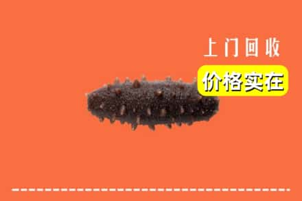 收购资讯:池州市石台回收海参
