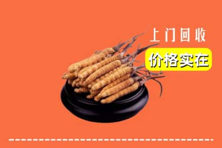 池州市石台回收冬虫夏草